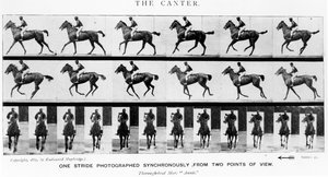 The Canter: One Stride Photographer Synchronously from Two Points of View, illustration from 